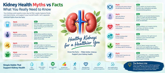 Kidney Health Myths vs Facts: What You Really Need to Know