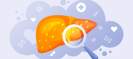 How to Support Your Liver Naturally: Foods, Habits, and Daily Tips