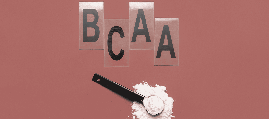 All About BCAA: The Essential Fuel for Muscle Growth and Recovery