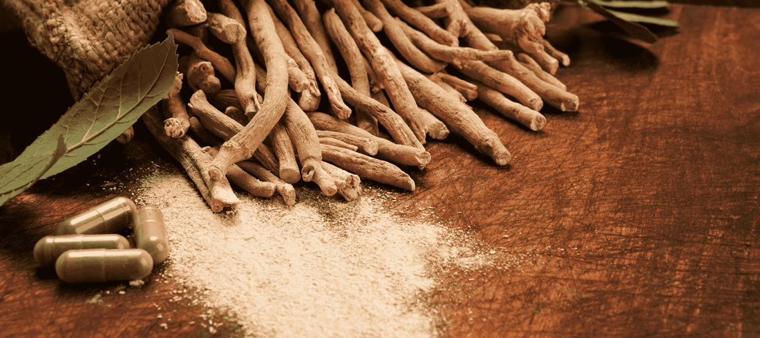 What Is Ashwagandha & How Does It Work?