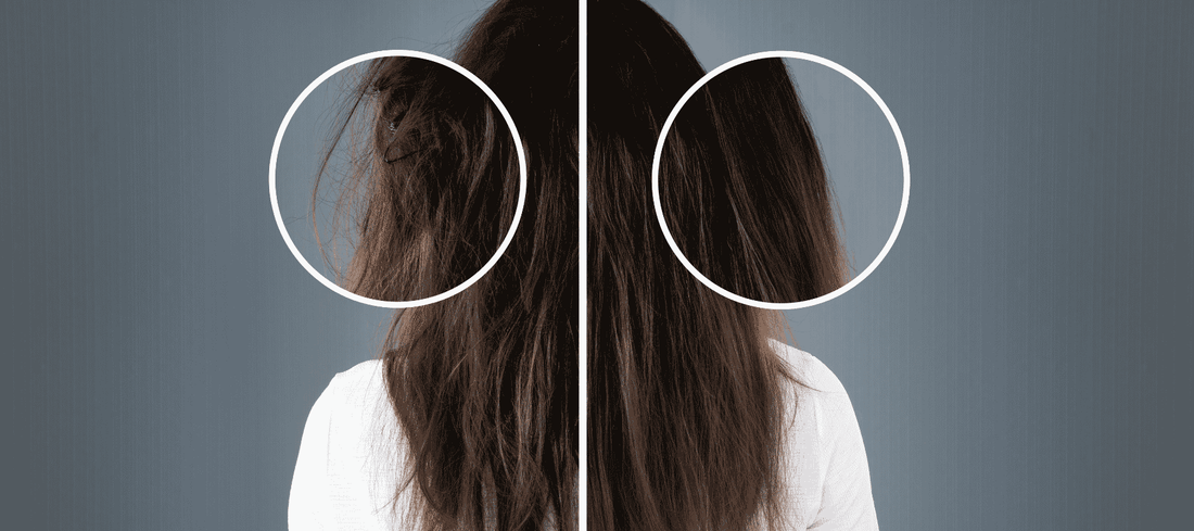 Healthy Hair Starts from Within: Nutrition and Lifestyle Tips for Stronger, Shinier Hair