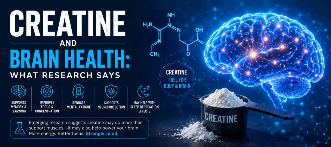 Creatine and Brain Health: What Research Says
