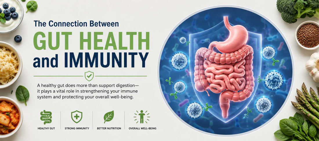 The Connection Between Gut Health and Immunity