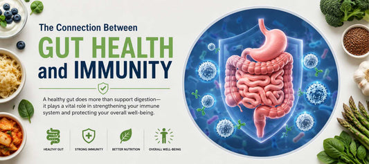 The Connection Between Gut Health and Immunity