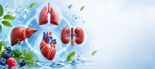 The Four Pillars of Wellness: Supporting Liver, Kidney, Heart, and Lung Health Naturally
