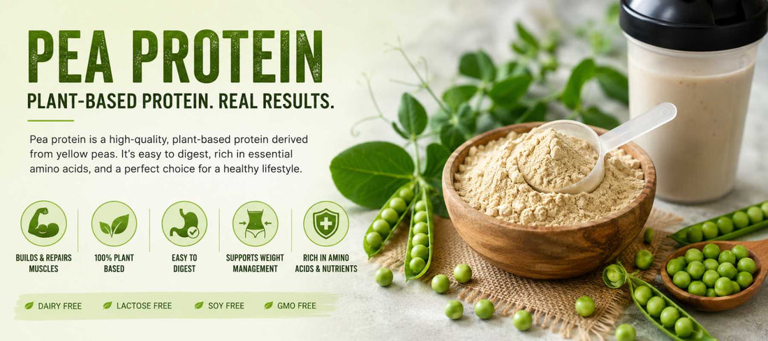 Pea Protein: A Clean, Plant-Based Protein for Everyday Nutrition