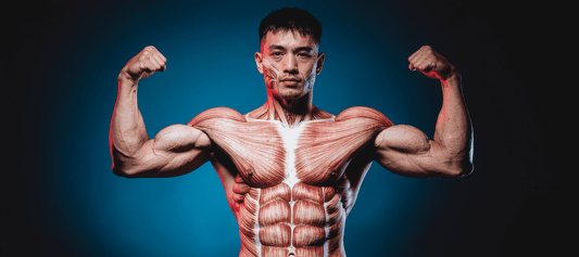How to Build Muscle Faster Naturally