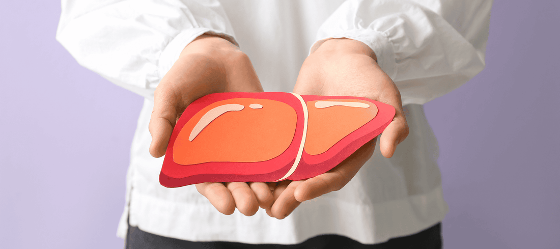 The Silent Guardian: Why Liver Health Deserves Your Attention