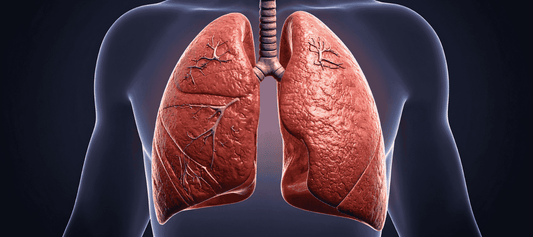 Breathe Better: A Complete Guide to Supporting Lung Health Naturally