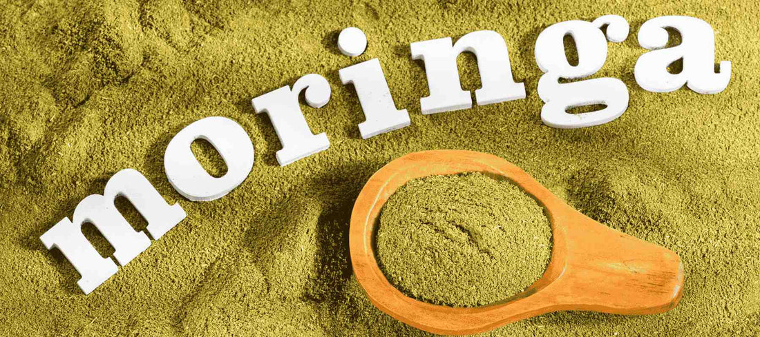 The Power of Moringa: A Natural Superfood for Everyday Wellness