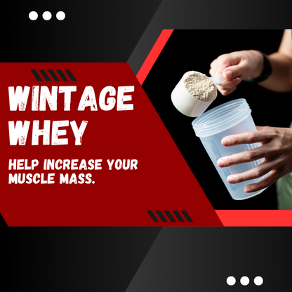 Wintage Whey (Whey Protein Powder | Dietary Supplement)