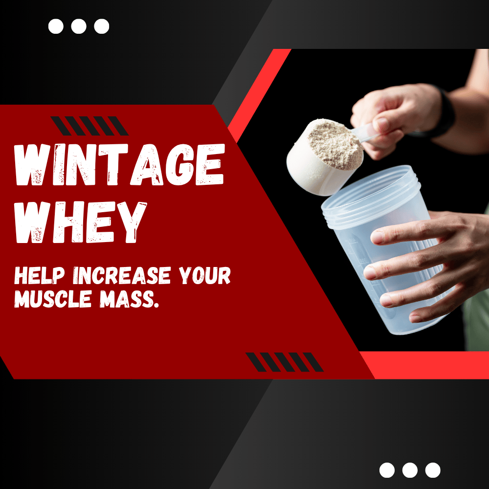 Wintage Whey (Whey Protein Powder | Dietary Supplement)
