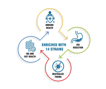 Pre - Probiotics 15 Billion CFUs, 60 Capsules | Immune Gut Health, Multi-Strains, Targeted Release