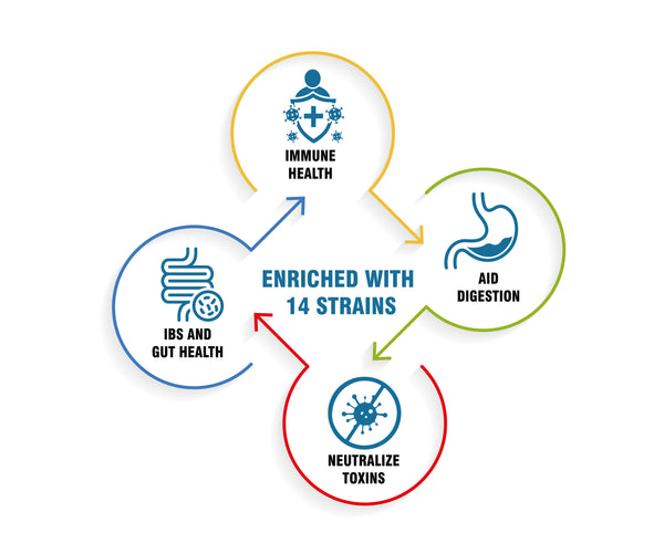 Pre - Probiotics 15 Billion CFUs, 60 Capsules | Immune Gut Health, Multi-Strains, Targeted Release