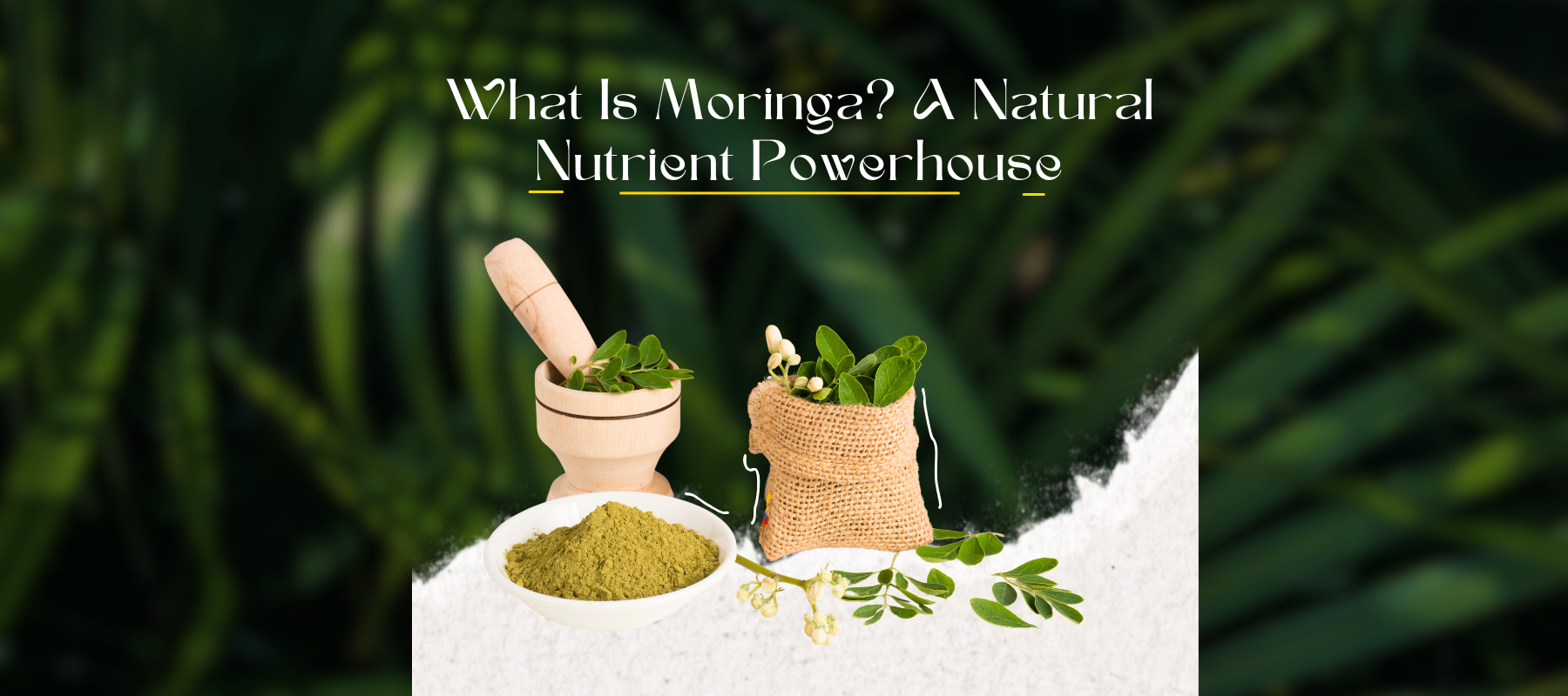 Rich in nutrients Skin and hair health Fights aging Improved digestion Lowers cholestrol